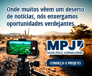 /apidata/imgcache/676934f3b347bb11ac29e12aa7bbf424.jpeg?banner=col4&when=1765140651&who=1